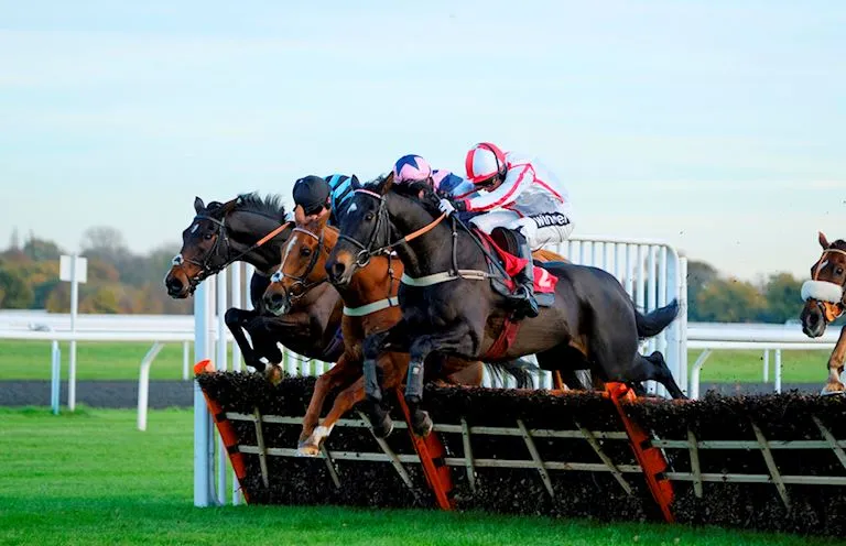CopyBet Afternoon Jump Racing