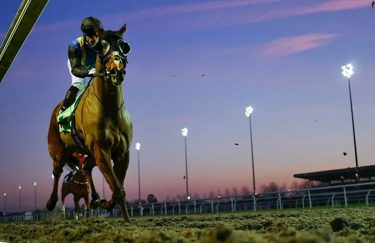 Floodlit Racing